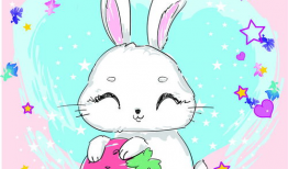 兔 动漫,探寻兔界动漫的奇幻世界